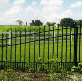 Custom iron fence in Lido KeyFlorida